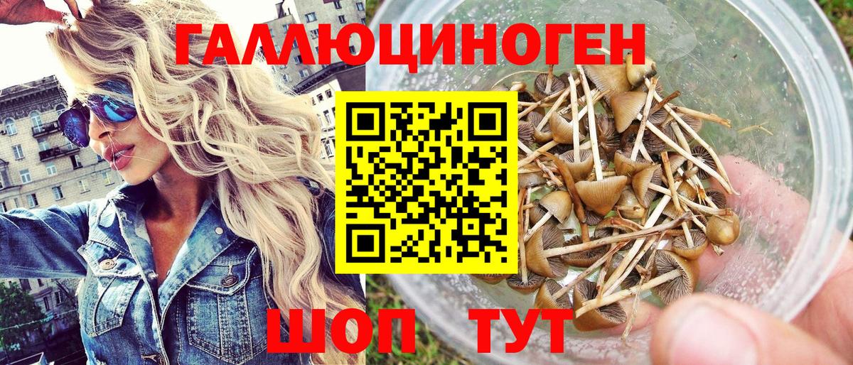Заречный  Галлюциногенные грибы GOLDEN TEACHER  Вход с VPN  Псилоцибиновые грибы Cubensis 